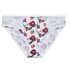 Sous-vêtements Femme Culottes & slips DIM GENEROUS COTON BIO Blanc