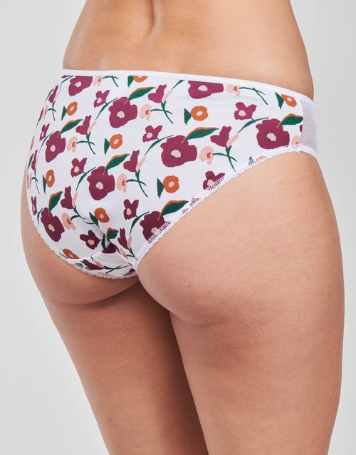 Sous-vêtements Femme Culottes & slips DIM GENEROUS COTON BIO Blanc 4 Sous-vêtements Femme Culottes & slips DIM GENEROUS COTON BIO Blanc – Image 4