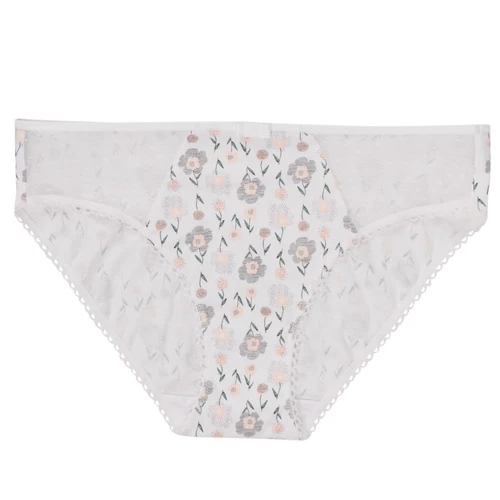 Sous-vêtements Femme Culottes & slips DIM GENEROUS COTON BIO Multicolore 1 Sous-vêtements Femme Culottes & slips DIM GENEROUS COTON BIO Multicolore