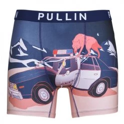 Sous-vêtements Homme Boxers Pullin FASHION LYCRA Multicolore
