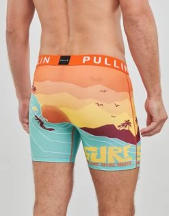 Sous-vêtements Homme Boxers Pullin FASHION LYCRA Multicolore -Boxers Homme Soldes 22685757 500 D