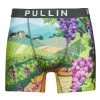 Sous-vêtements Homme Boxers Pullin FASHION LYCRA Multicolore
