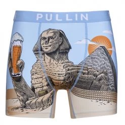 Sous-vêtements Homme Boxers Pullin FASHION LYCRA Multicolore